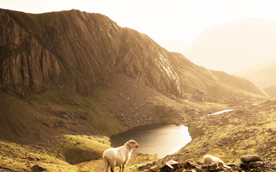 4 Reasons Why North Wales Is the Perfect Place to Get A Holiday Home