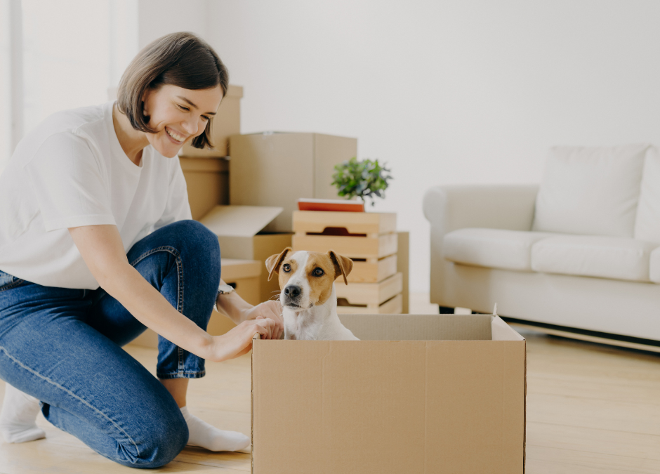 Tips When Moving Home With Pets