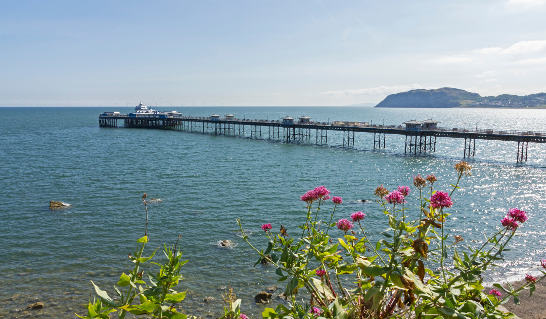 Choosing the Right North Wales Coastal Town for Your Move
